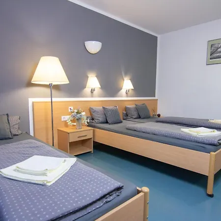 Night Hotel Falkenstein (Vogtland)