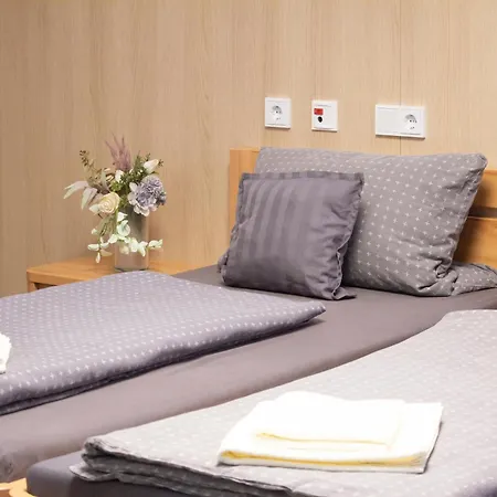 Otel Night Falkenstein (Vogtland)