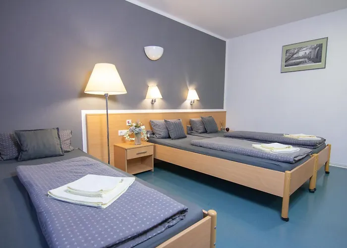 Night فندق Falkenstein (Vogtland)