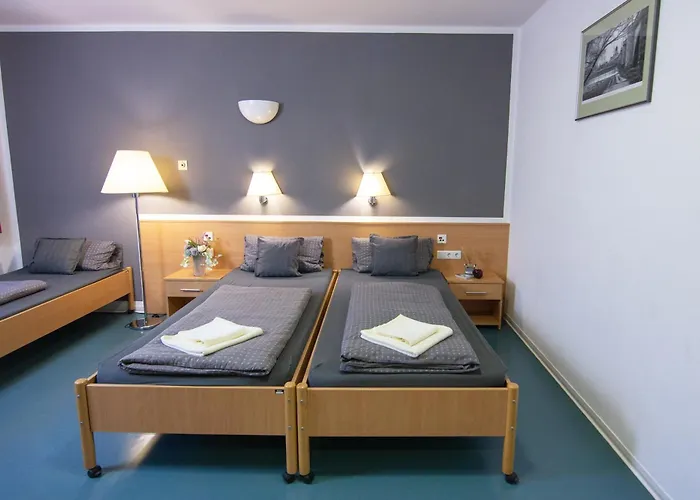 Night فندق Falkenstein (Vogtland)